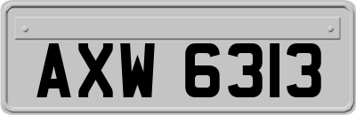 AXW6313