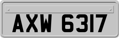 AXW6317
