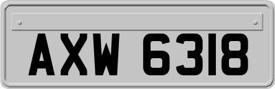AXW6318