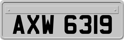 AXW6319