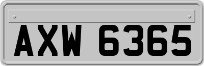 AXW6365