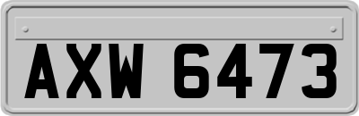 AXW6473
