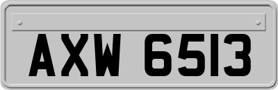 AXW6513