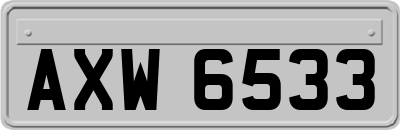 AXW6533