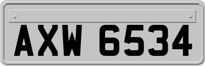 AXW6534