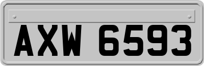 AXW6593