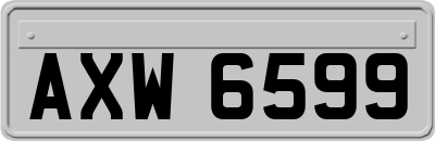 AXW6599