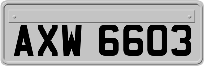 AXW6603