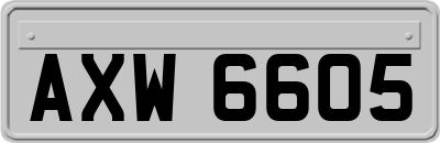 AXW6605