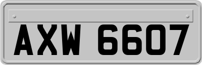 AXW6607