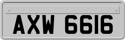 AXW6616