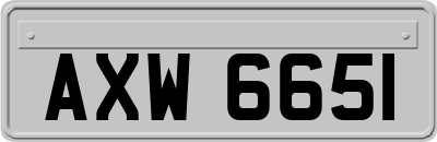 AXW6651
