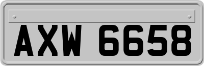 AXW6658