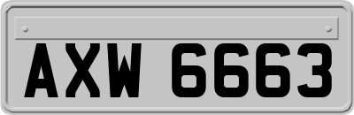 AXW6663