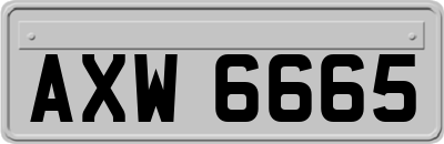 AXW6665