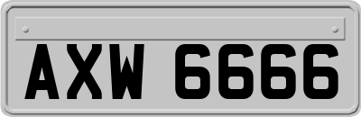 AXW6666
