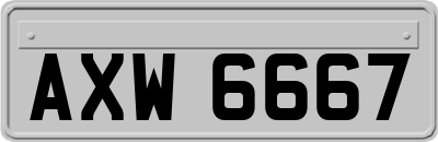 AXW6667