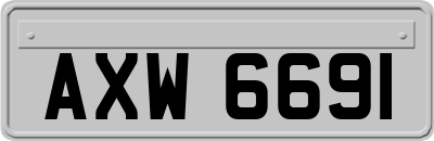 AXW6691