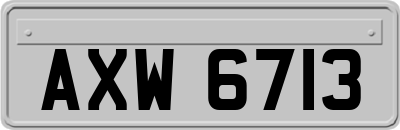 AXW6713