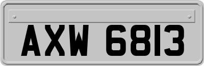 AXW6813