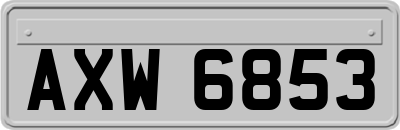 AXW6853