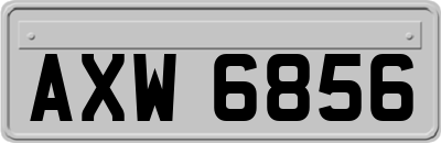 AXW6856