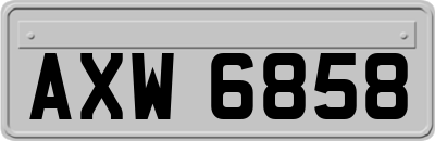 AXW6858