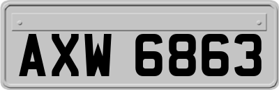 AXW6863