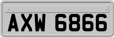 AXW6866