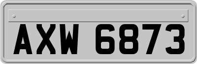 AXW6873