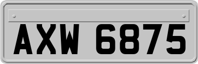 AXW6875