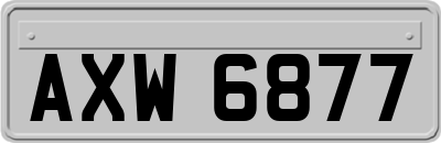 AXW6877