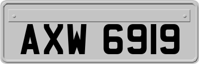 AXW6919