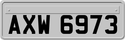 AXW6973