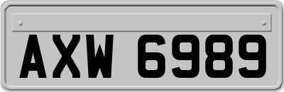 AXW6989