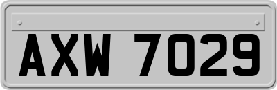 AXW7029