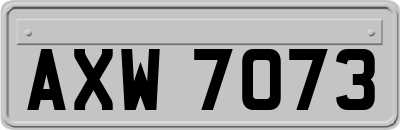 AXW7073