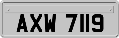 AXW7119