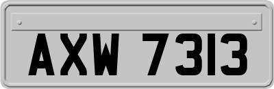 AXW7313
