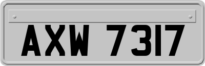 AXW7317
