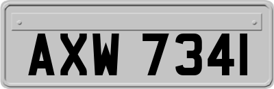 AXW7341