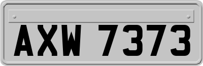 AXW7373