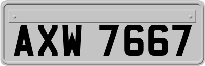 AXW7667