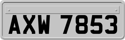 AXW7853