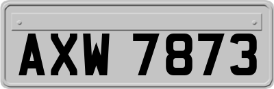AXW7873