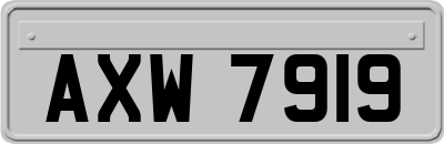 AXW7919