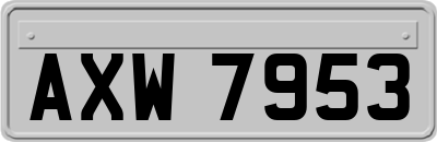 AXW7953