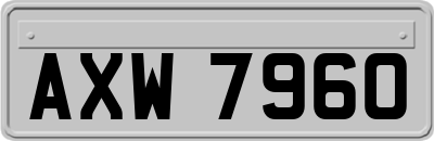 AXW7960
