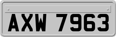 AXW7963