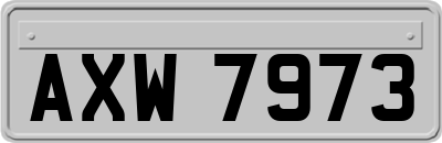 AXW7973